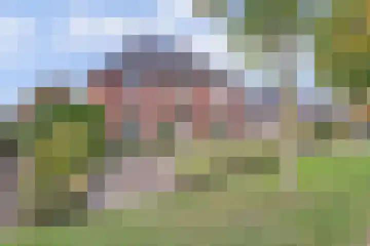 Tongerveldweg 7 Maasbree thumbnail 58