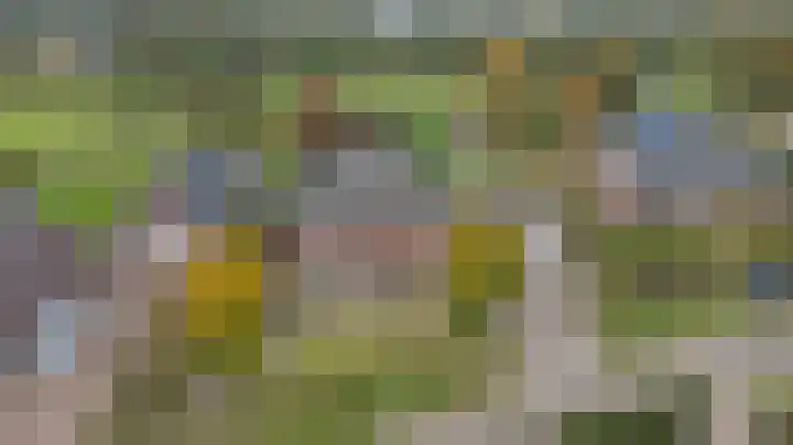 Tongerveldweg 7 Maasbree thumbnail 62
