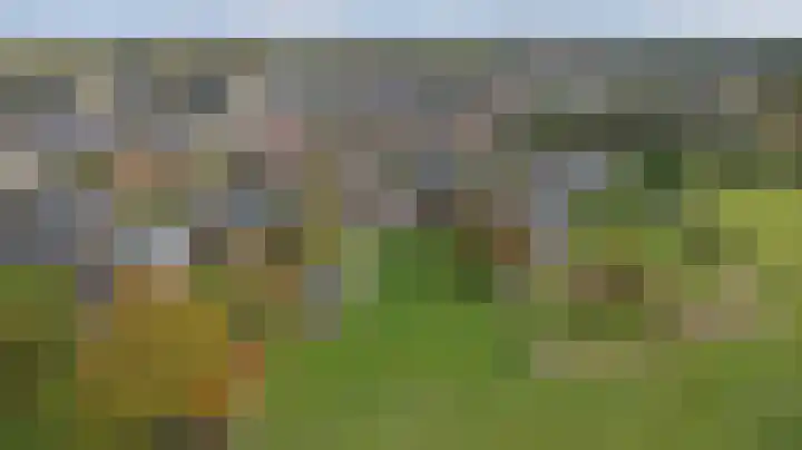 Tongerveldweg 7 Maasbree thumbnail 65