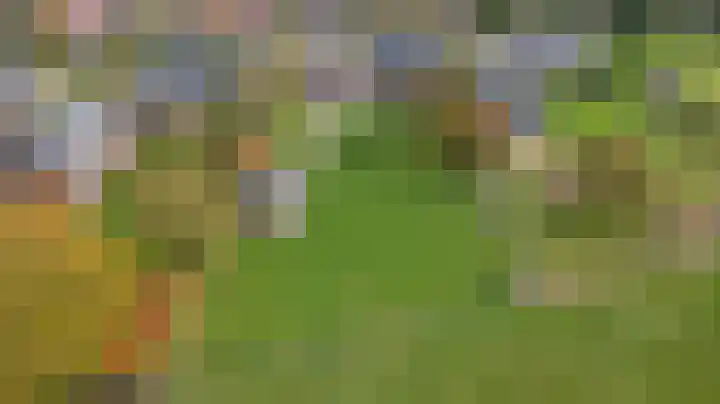 Tongerveldweg 7 Maasbree thumbnail 66