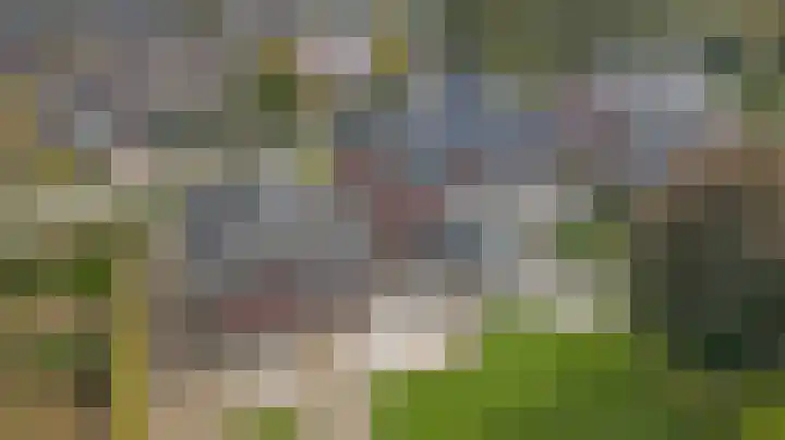 Tongerveldweg 7 Maasbree thumbnail 68