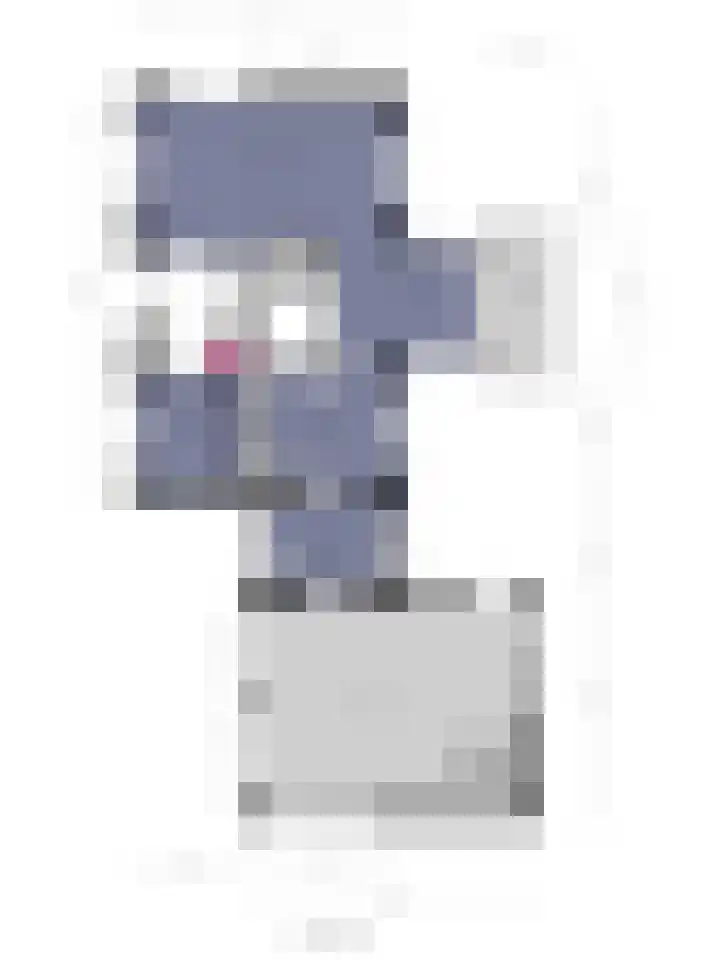 Tongerveldweg 7 Maasbree thumbnail 69