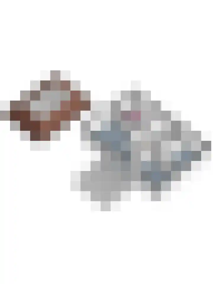 Tongerveldweg 7 Maasbree thumbnail 72