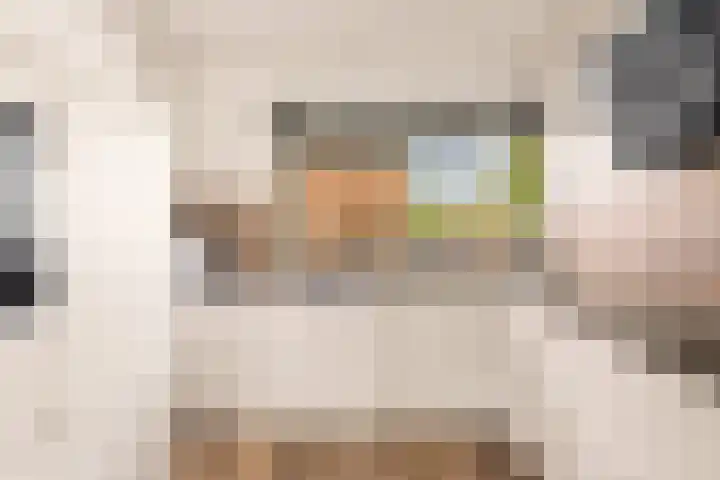 Tongnaald 17 Monnickendam thumbnail 10