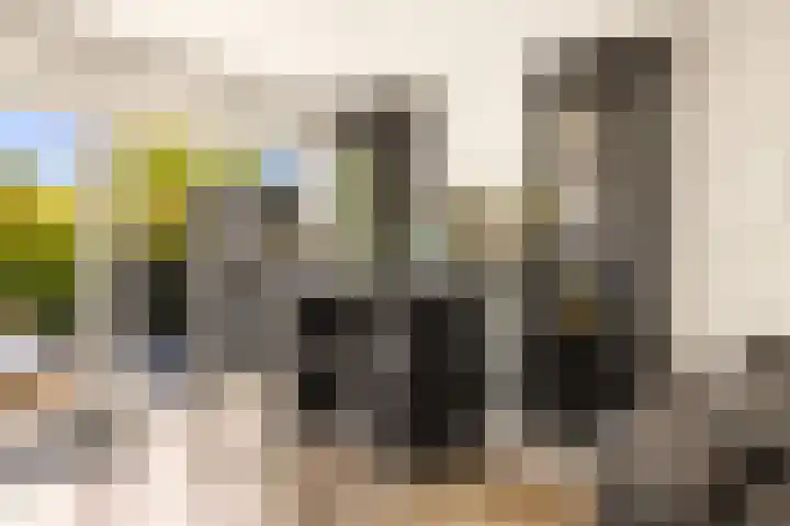 Tongnaald 17 Monnickendam thumbnail 11