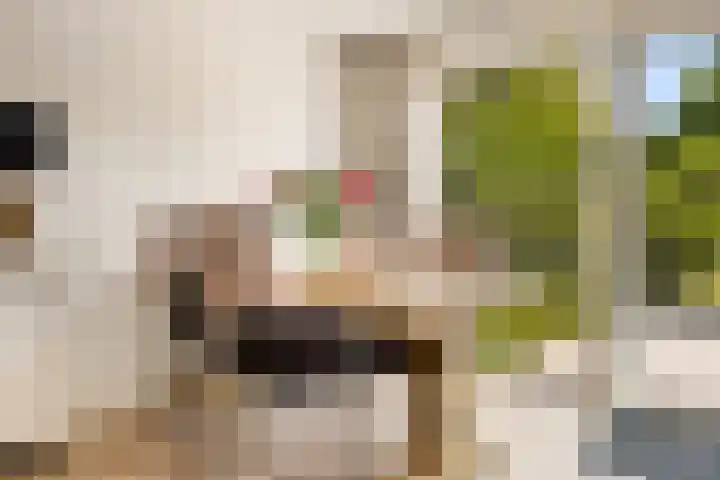Tongnaald 17 Monnickendam thumbnail 12