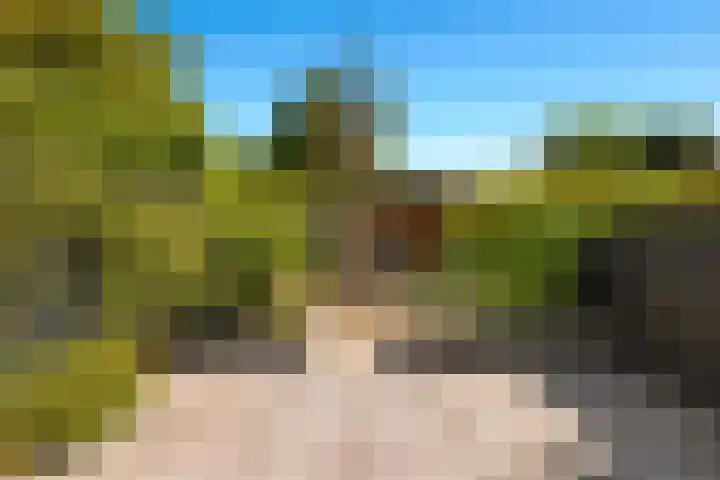 Tongnaald 17 Monnickendam thumbnail 13