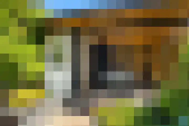 Tongnaald 17 Monnickendam thumbnail 15