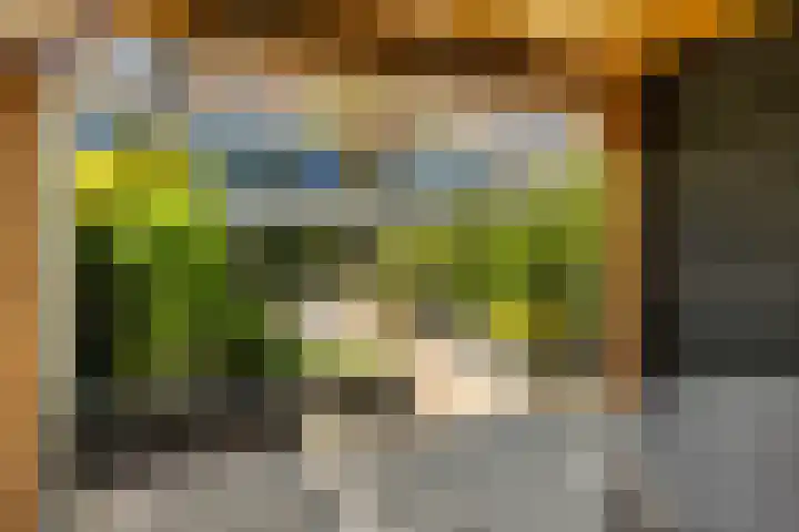 Tongnaald 17 Monnickendam thumbnail 16