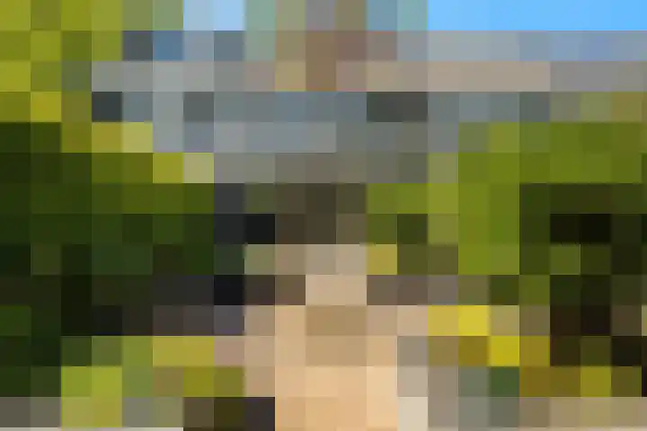 Tongnaald 17 Monnickendam thumbnail 17