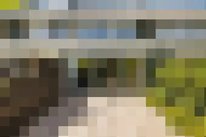 Tongnaald 17 Monnickendam thumbnail 18