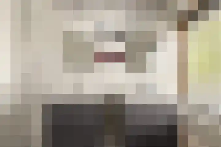 Tongnaald 17 Monnickendam thumbnail 23