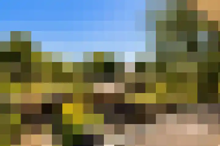 Tongnaald 17 Monnickendam thumbnail 29