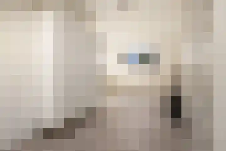 Tongnaald 17 Monnickendam thumbnail 32