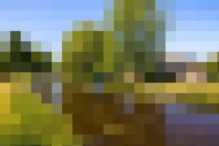 Tongnaald 17 Monnickendam thumbnail 33