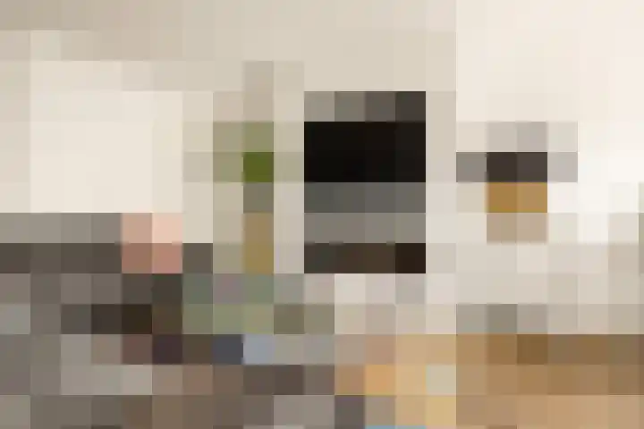 Tongnaald 17 Monnickendam thumbnail 5