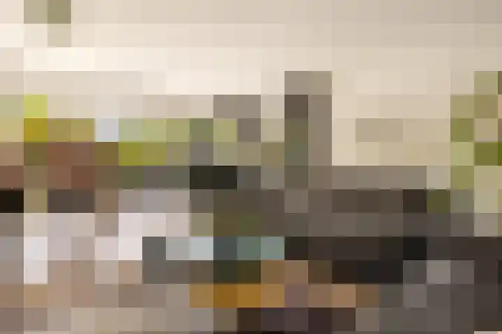 Tongnaald 17 Monnickendam thumbnail 6