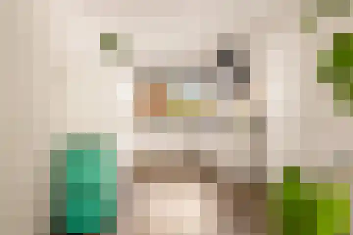 Tongnaald 17 Monnickendam thumbnail 7