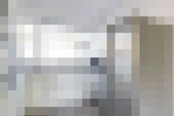 Tongnaald 42 Monnickendam thumbnail 11