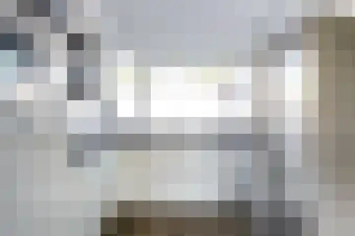 Tongnaald 42 Monnickendam thumbnail 12
