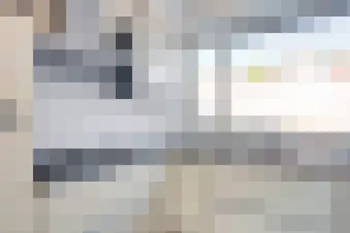 Tongnaald 42 Monnickendam thumbnail 13