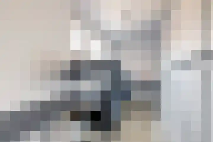 Tongnaald 42 Monnickendam thumbnail 14