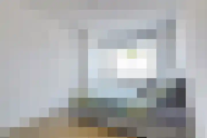 Tongnaald 42 Monnickendam thumbnail 17