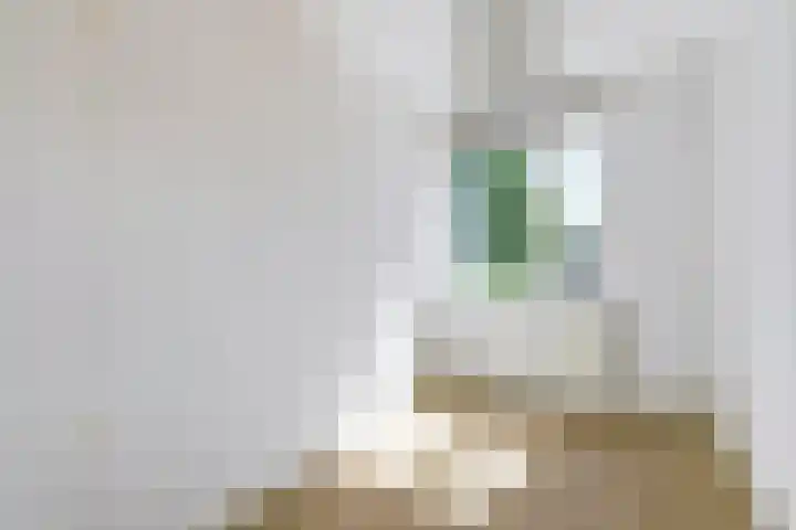 Tongnaald 42 Monnickendam thumbnail 22