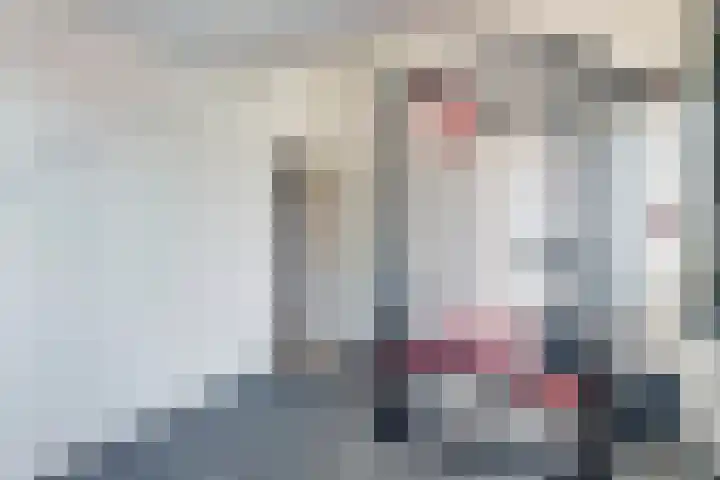 Tongnaald 42 Monnickendam thumbnail 26
