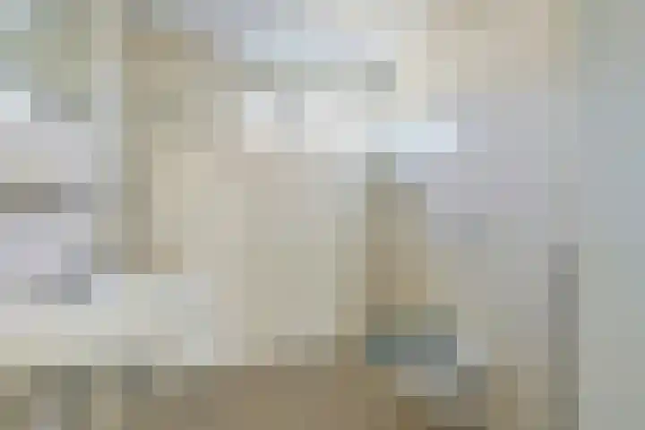 Tongnaald 42 Monnickendam thumbnail 30