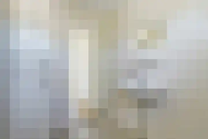 Tongnaald 42 Monnickendam thumbnail 32