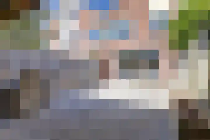 Tongnaald 42 Monnickendam thumbnail 34