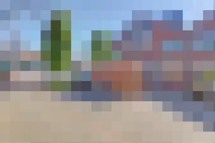 Tongnaald 42 Monnickendam thumbnail 35