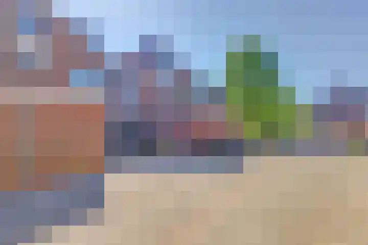 Tongnaald 42 Monnickendam thumbnail 36