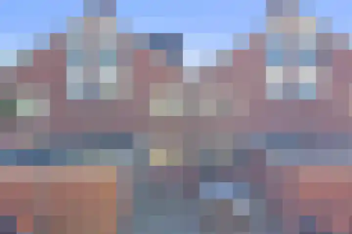 Tongnaald 42 Monnickendam thumbnail 38
