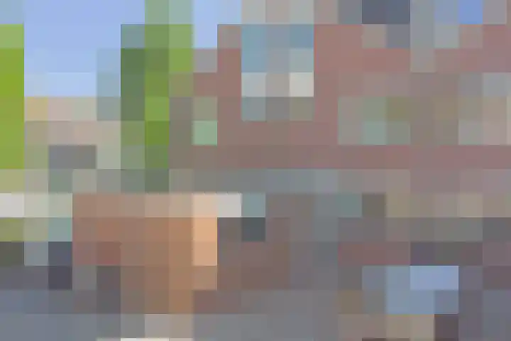 Tongnaald 42 Monnickendam thumbnail 39