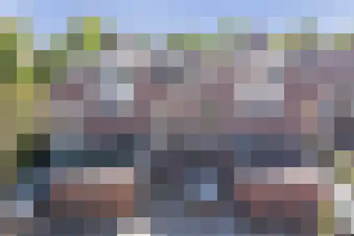 Tongnaald 42 Monnickendam thumbnail 40