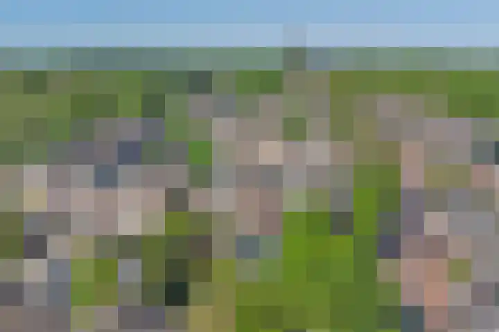 Tongnaald 42 Monnickendam thumbnail 41