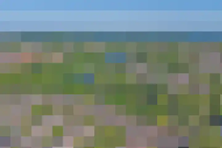 Tongnaald 42 Monnickendam thumbnail 42