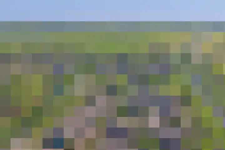 Tongnaald 42 Monnickendam thumbnail 43
