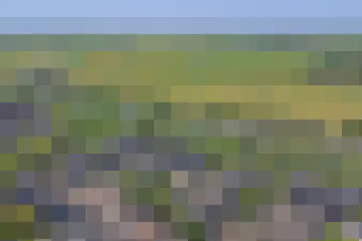 Tongnaald 42 Monnickendam thumbnail 44