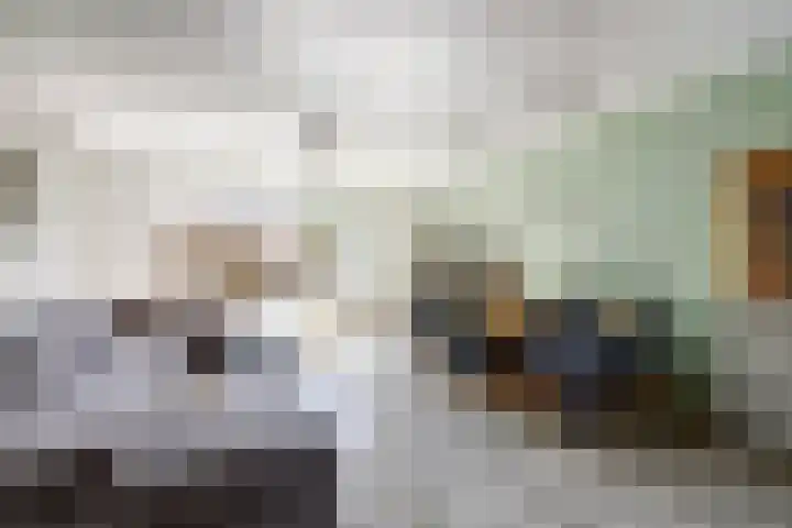 Tongnaald 42 Monnickendam thumbnail 8