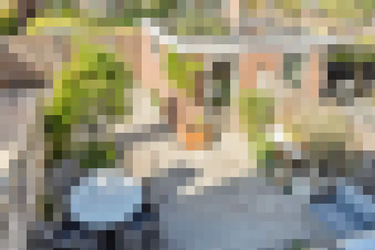 Tongnaald 59 Monnickendam thumbnail 23