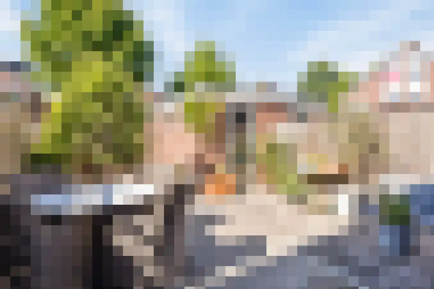 Tongnaald 59 Monnickendam thumbnail 25
