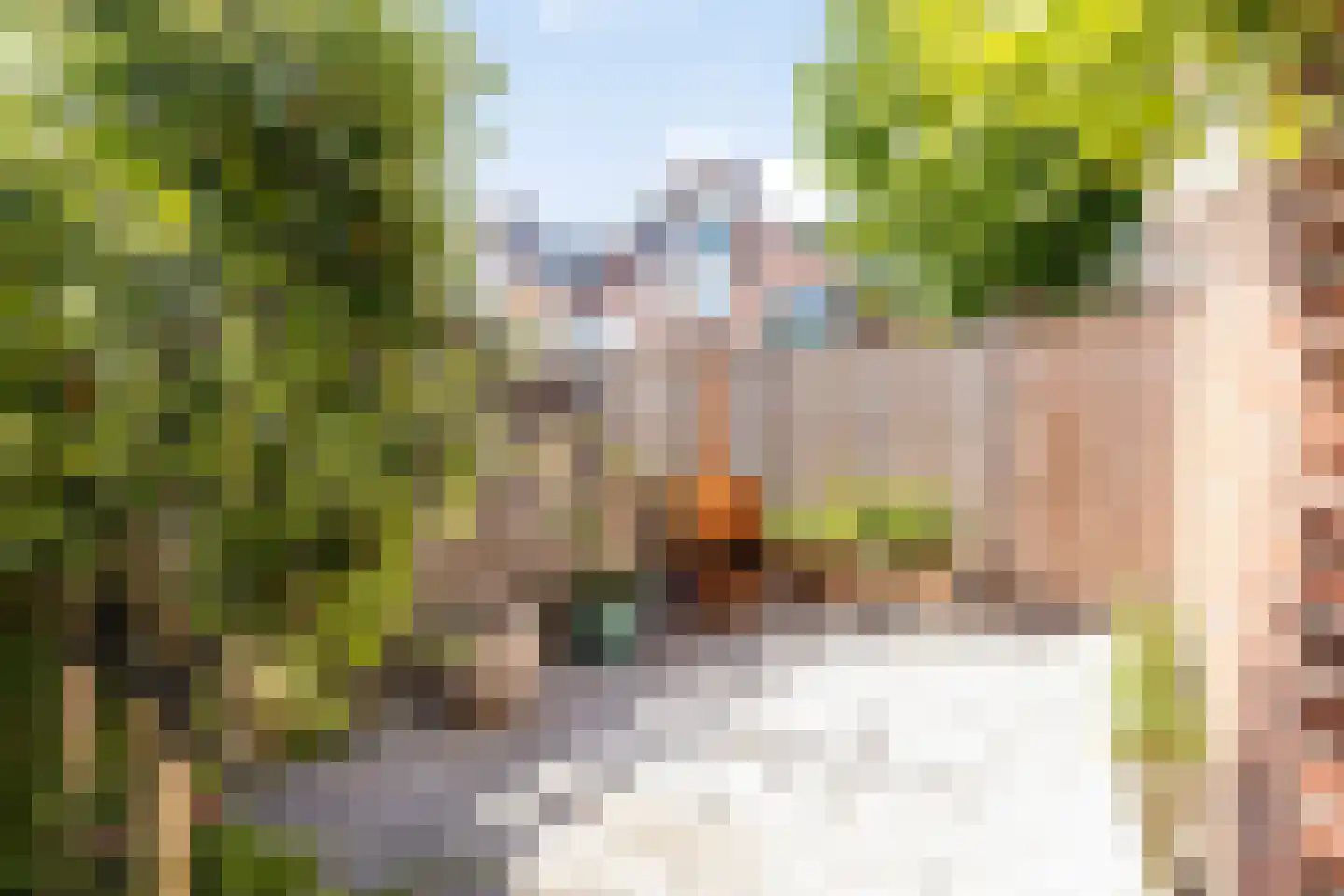 Tongnaald 59 Monnickendam thumbnail 26