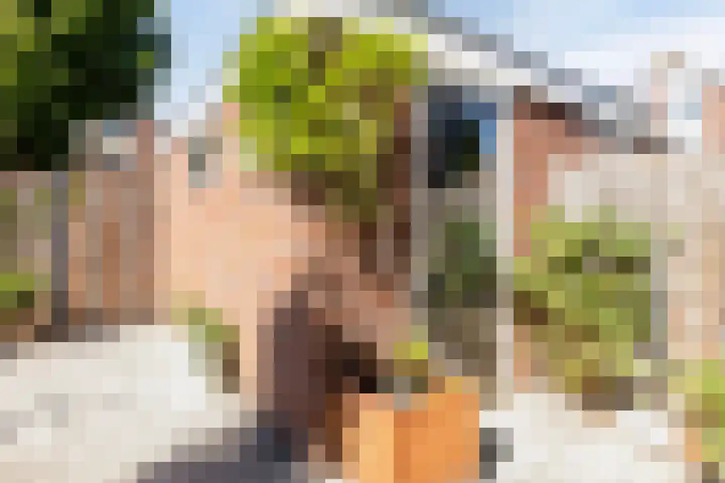 Tongnaald 59 Monnickendam thumbnail 27