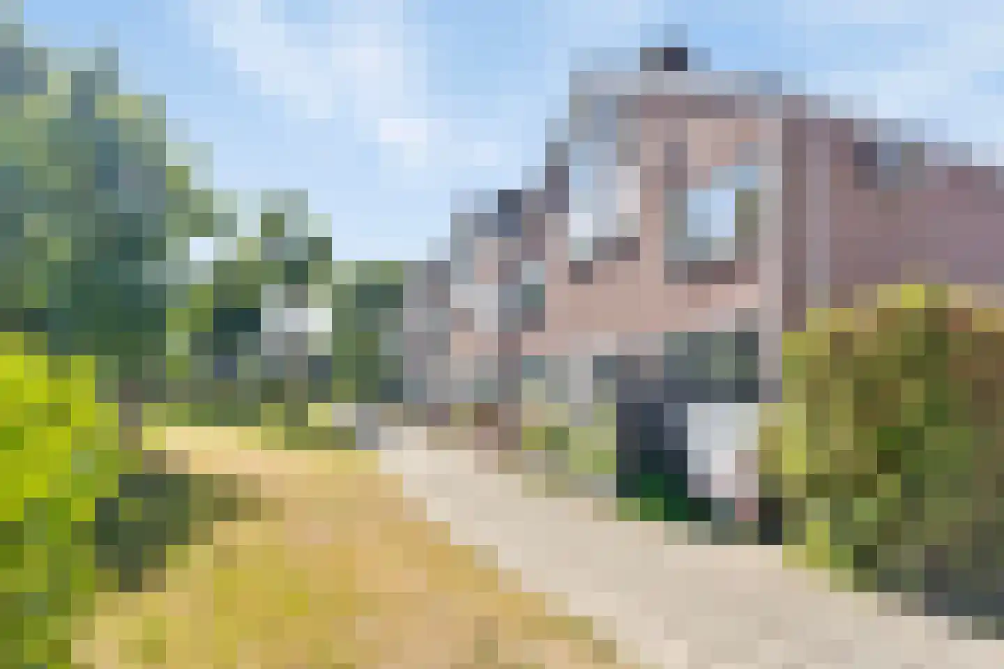 Tongnaald 59 Monnickendam thumbnail 33