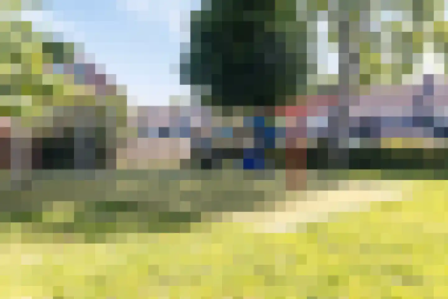 Tongnaald 59 Monnickendam thumbnail 34