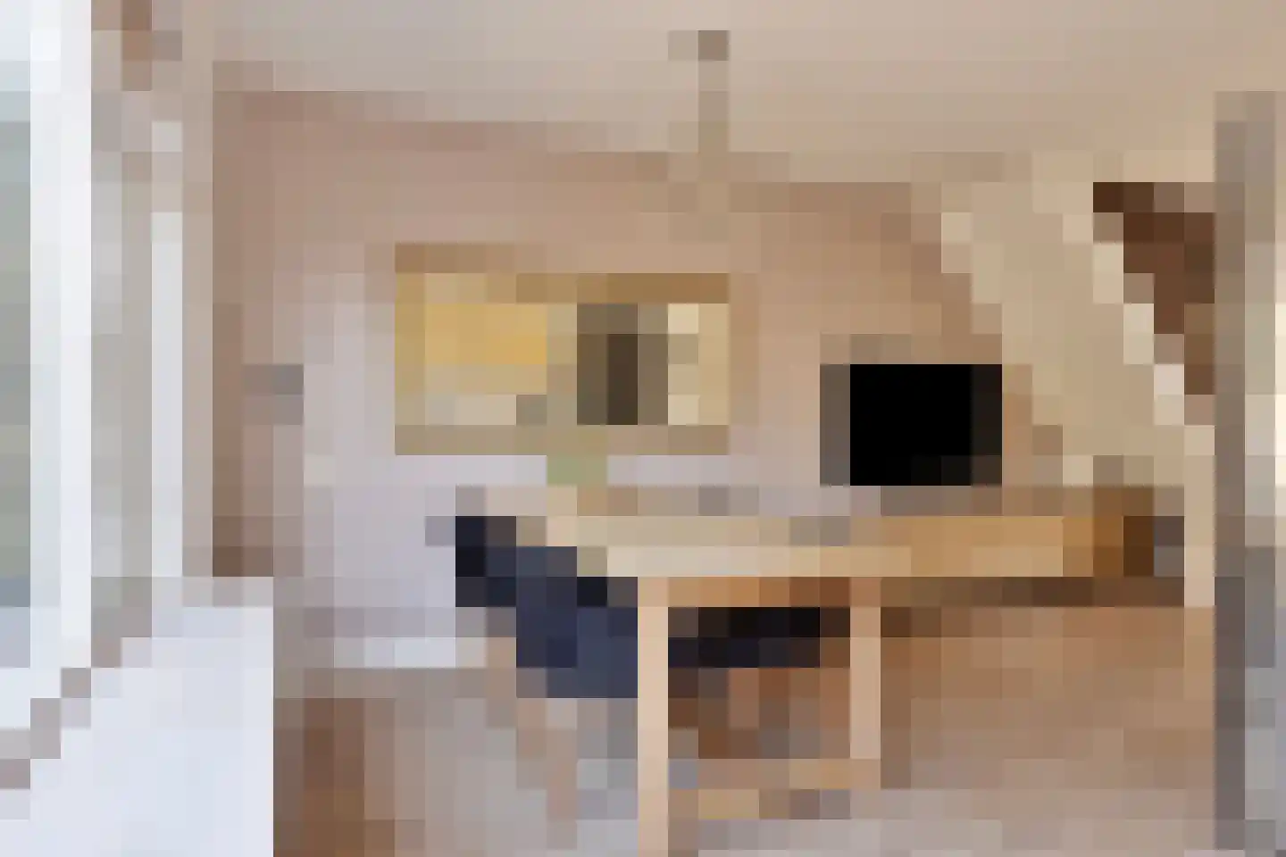 Tongnaald 59 Monnickendam thumbnail 5