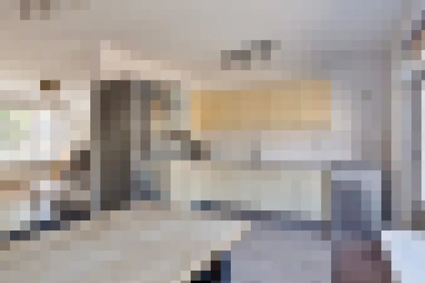 Tongnaald 59 Monnickendam thumbnail 6